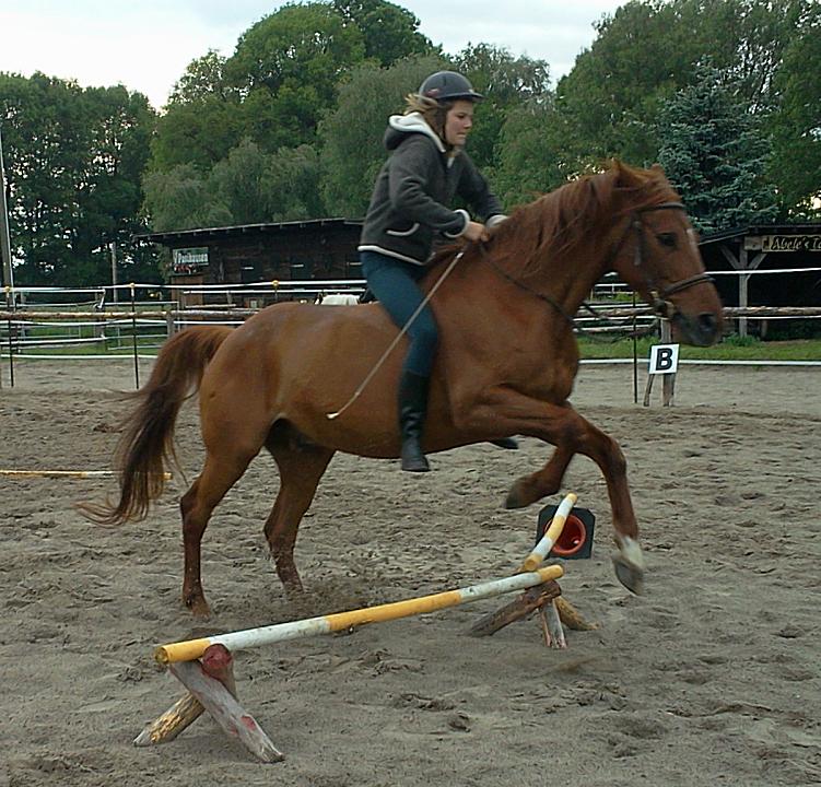 Auf dem Reitplatz