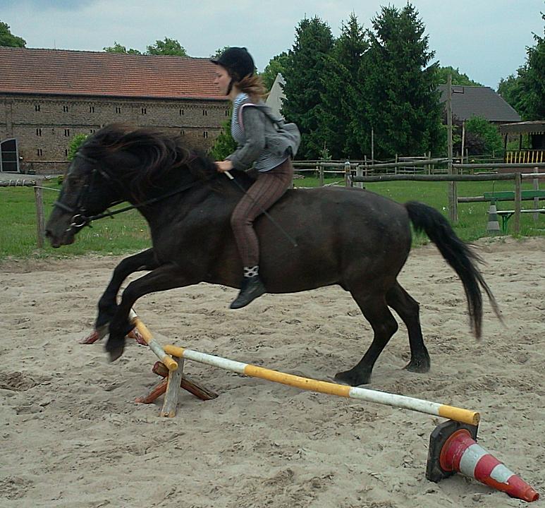 Auf dem Reitplatz